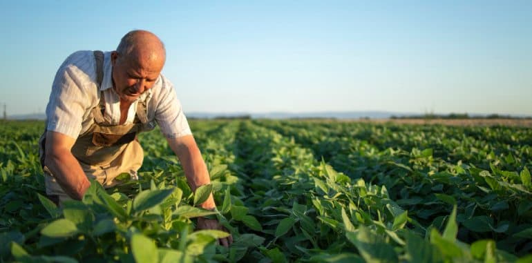 Agriculture Agro Industry and Farming